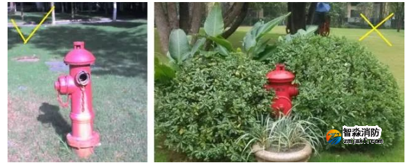 1647316742136616.png image.png