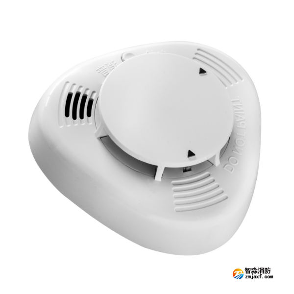 海灣JTY-GD-GSTN100點(diǎn)型家用感煙火災(zāi)探測(cè)器 海灣JTY-GD-GSTN100點(diǎn)型家用感煙火災(zāi)探測(cè)器