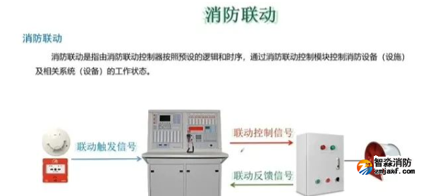 1740964958871910.png image.png