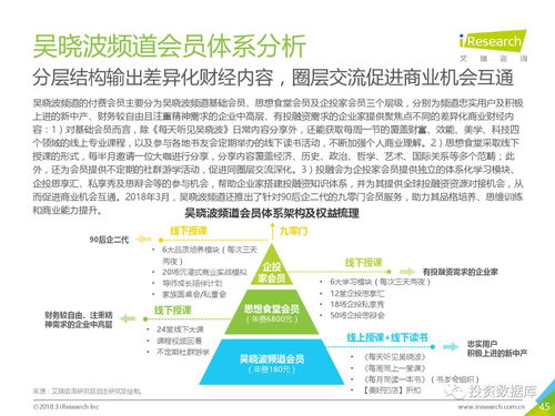 2018年中國在線知識付費市場研究報告