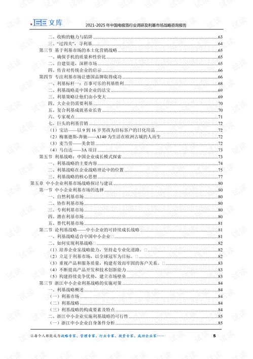 2021-2025年中國電極箔行業深度調研與利基市場戰略咨詢報告